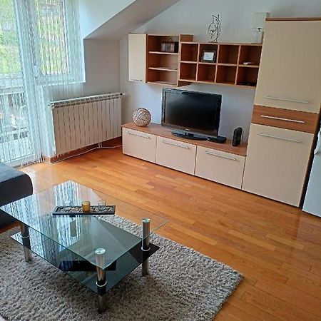 Apartman Romansa Apartment Vrnjačka Banja Екстериор снимка