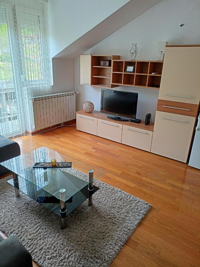 Apartman Romansa Apartment Vrnjačka Banja Екстериор снимка